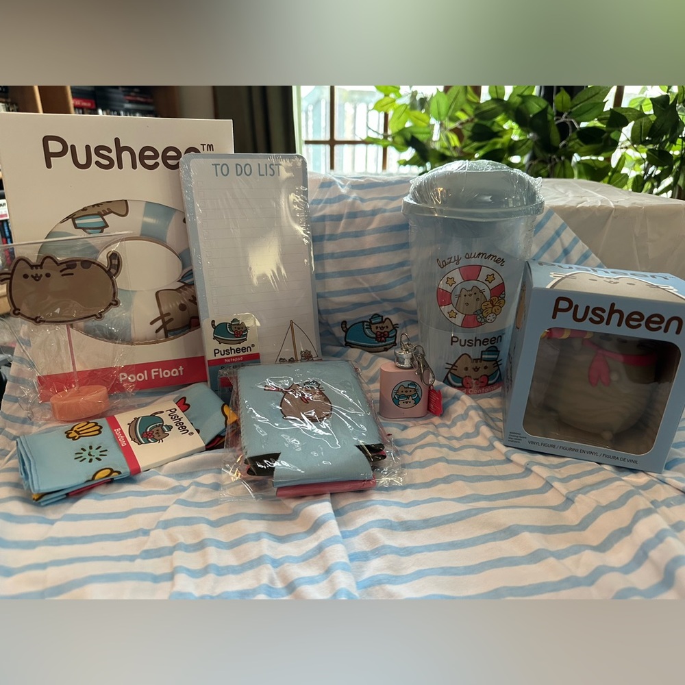 Pusheen 2019 Summer Subscription Box Items